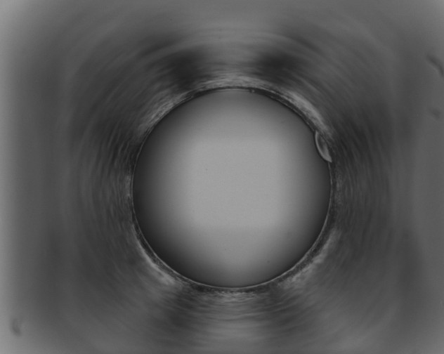 X0000093220849200709261444