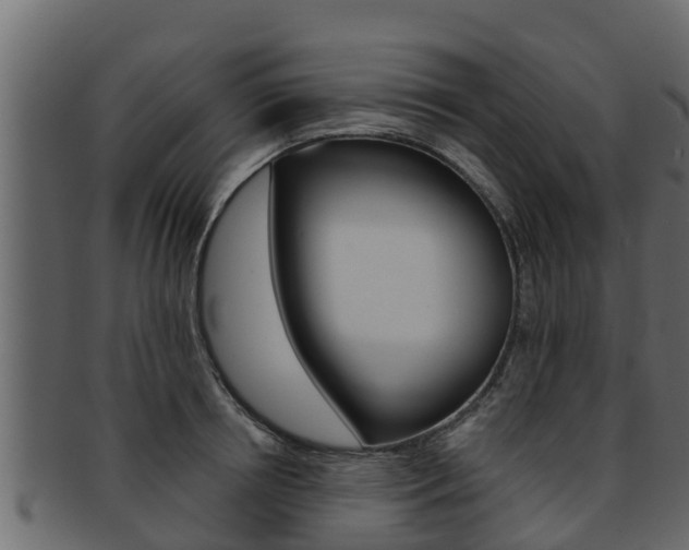 X0000093220850200709261444