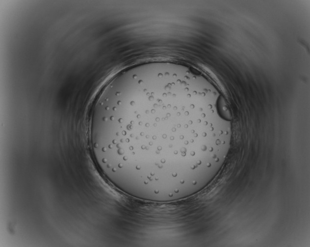 X0000093220851200709261444