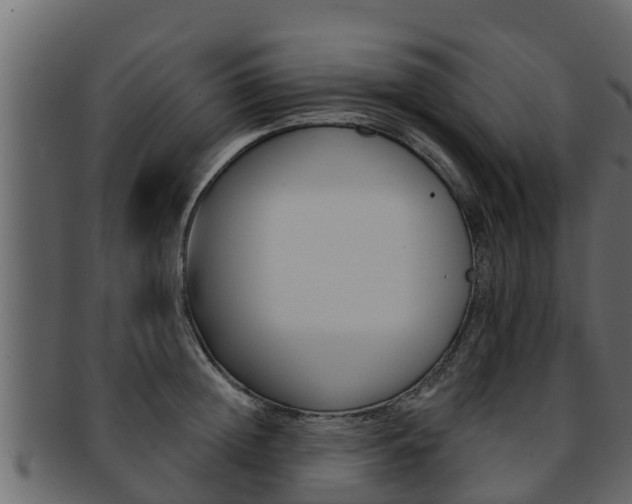 X0000093220852200709261444