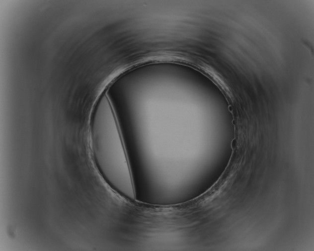 X0000093220853200709261444