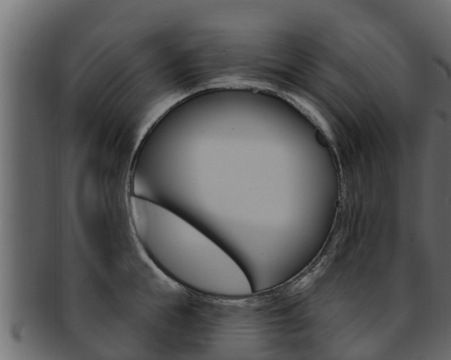 X0000093220855200709261444
