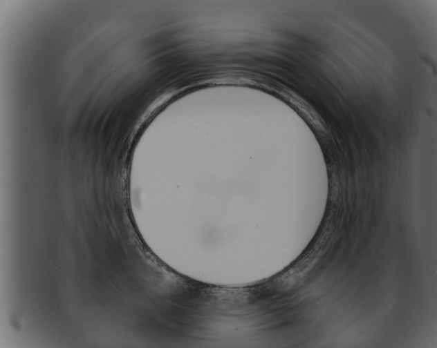 X0000093220856200709261444