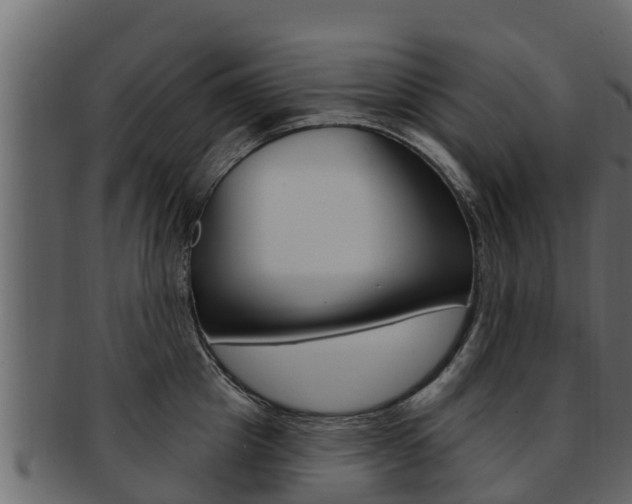 X0000093220857200709261444