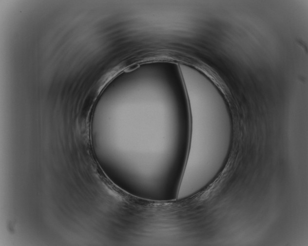 X0000093220858200709261444