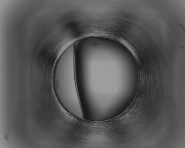 X0000093220861200709261444