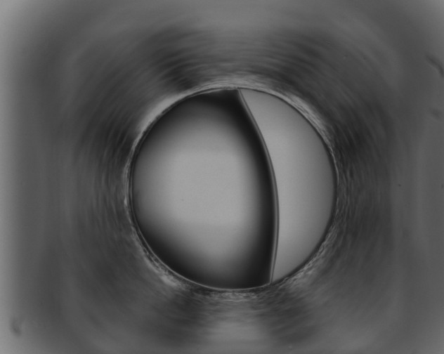X0000093220862200709261444