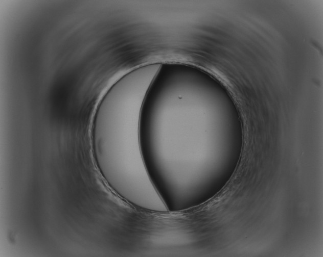 X0000093220864200709261444