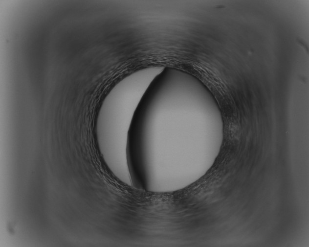 X0000093220865200709261444