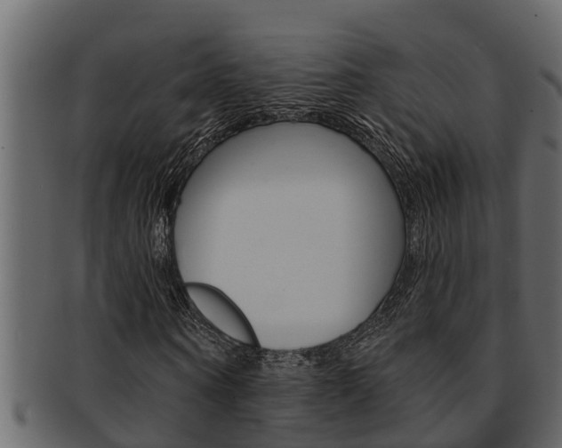 X0000093220866200709261444