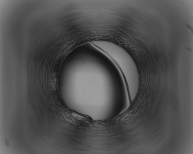 X0000093220868200709261443