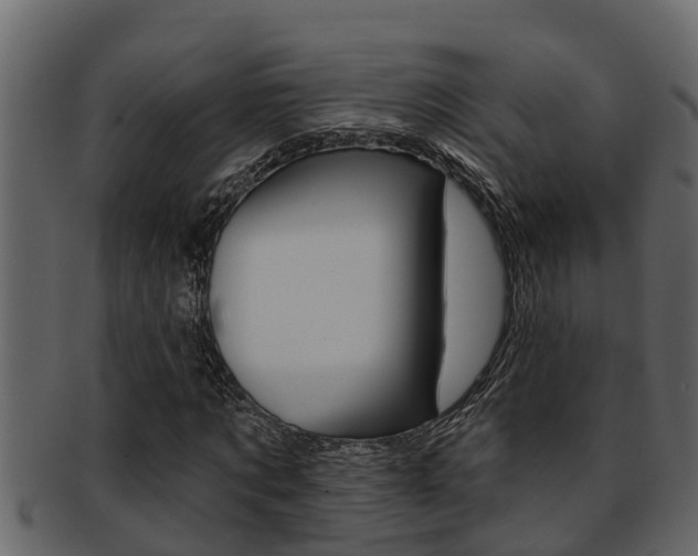 X0000093220869200709261443