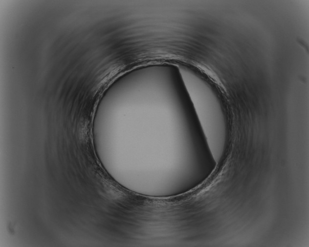 X0000093220873200709261443