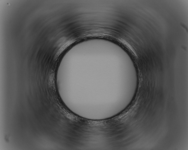 X0000093220874200709261443