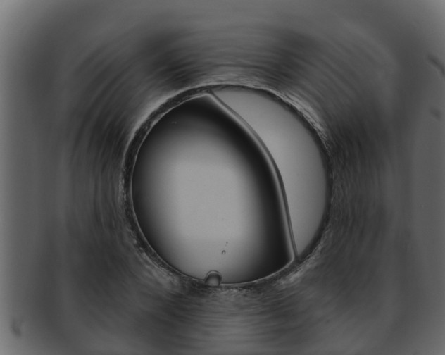 X0000093220880200709261443