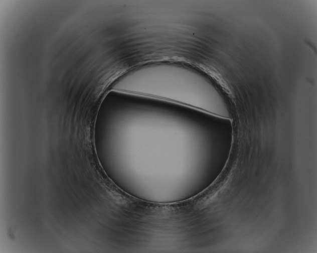 X0000093220881200709261443