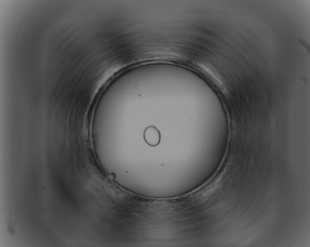 X0000093220883200709261443