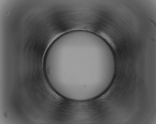 X0000093220884200709261443