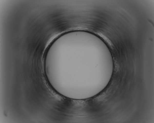 X0000093220886200709261443
