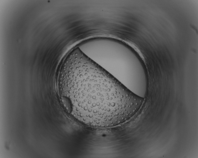 X0000093220887200709261443