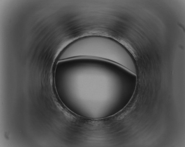 X0000093220888200709261443