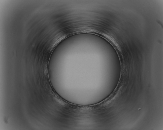 X0000093220889200709261443