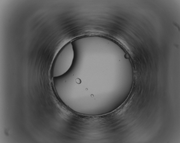 X0000093220891200709261443