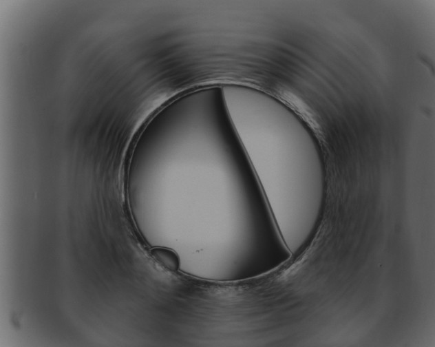 X0000093220892200709261443