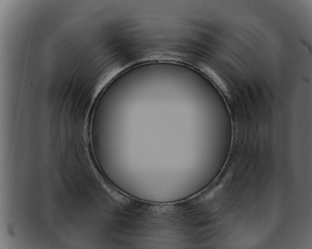 X0000093220893200709261443