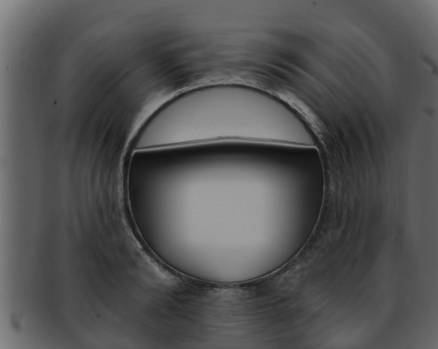 X0000093220894200709261443