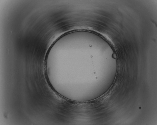 X0000093220895200709261443