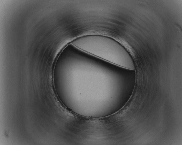 X0000093220896200709261443