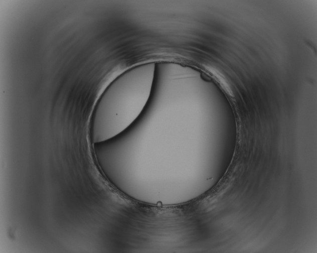 X0000093220899200709261443