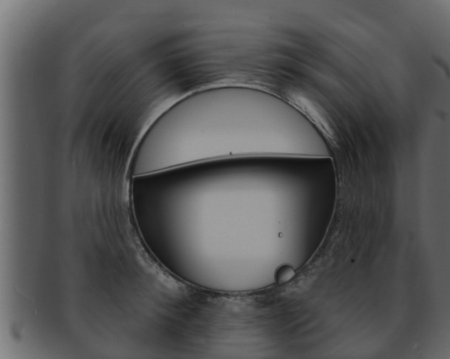 X0000093220900200709261443