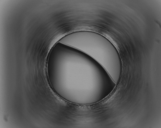 X0000093220901200709261443