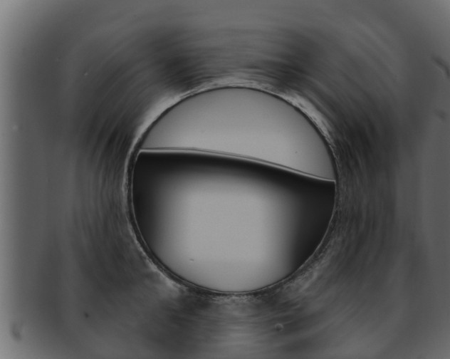X0000093220902200709261443