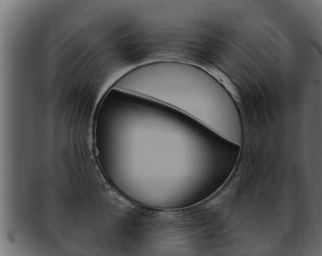 X0000093220904200709261443