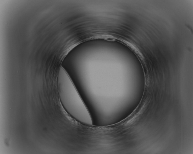 X0000093220905200709261443