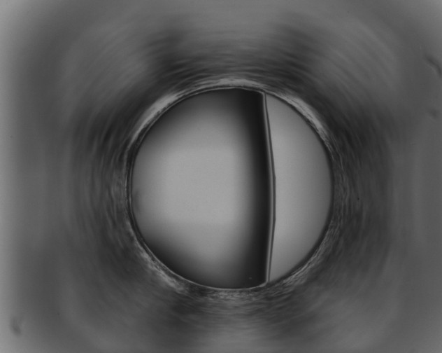 X0000093220910200709261443
