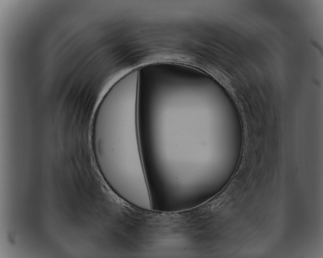X0000093220912200709261443