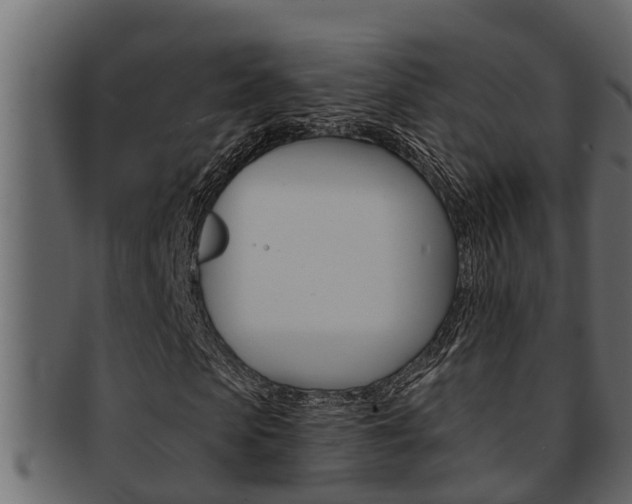 X0000093220913200709261442