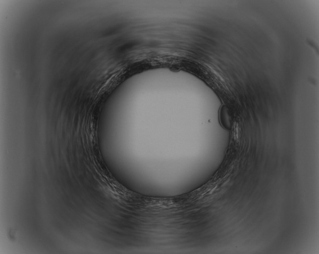 X0000093220915200709261442