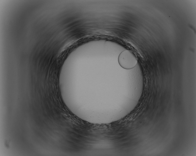 X0000093220919200709261442