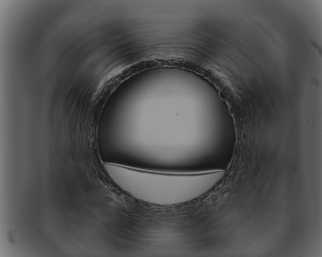 X0000093220920200709261442