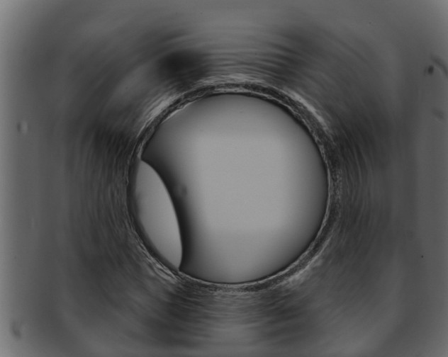 X0000093220921200709261442