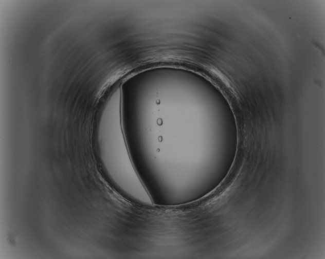X0000093220922200709261442