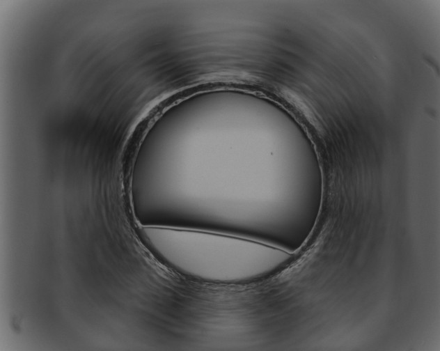 X0000093220923200709261442