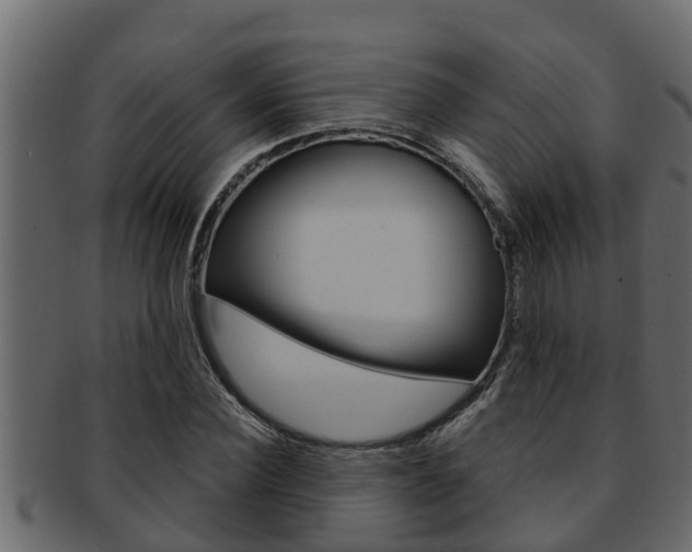 X0000093220924200709261442