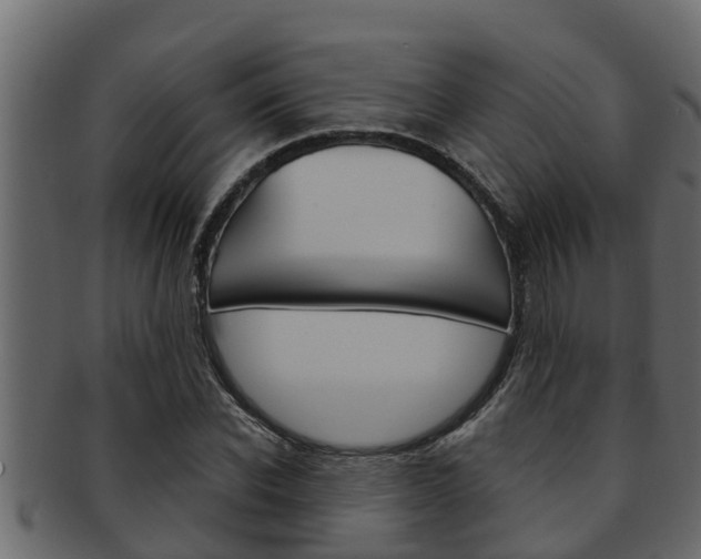 X0000093220926200709261442