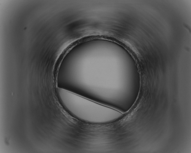 X0000093220927200709261442